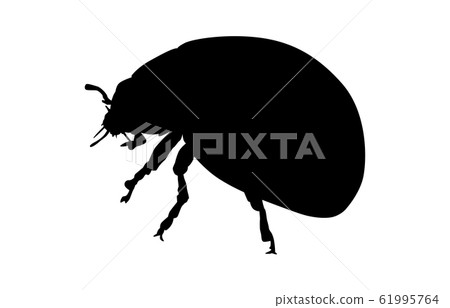 動物剪影昆蟲等瓢蟲2 61995764