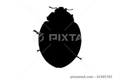 動物剪影昆蟲等瓢蟲3 61995765