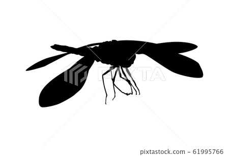 Dragonfly 1 Dragonfly 1 61995766