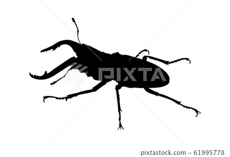 Animal silhouette insects stag 2 Animal silhouette insects stag 2 61995778