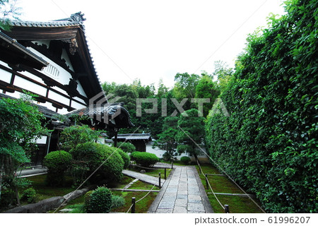 Tofukuji Temple's Fudan-in (Sesshu-ji) entrance approach (Higashiyama Ward, Kyoto City) 61996207