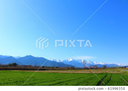 Beautiful cherry blossoms 202002: Colored paper 202002 woven by flowers and plants 61996358