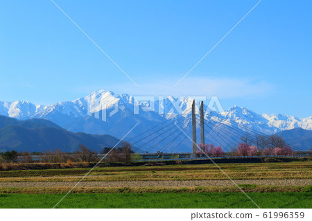 Beautiful cherry blossoms 202002: Colored paper 202002 woven by flowers and plants 61996359