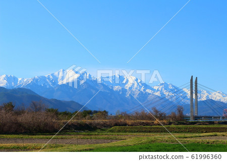 Beautiful cherry blossoms 202002: Colored paper 202002 woven by flowers and plants 61996360