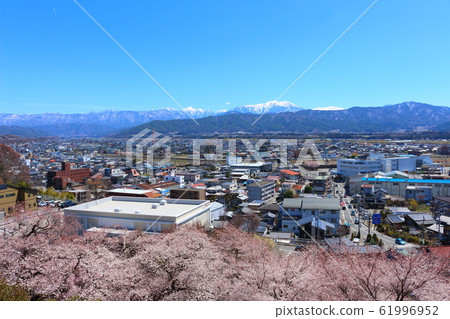 美麗的櫻花202002:用花草編織的彩色紙202002 美麗的櫻花202002:用花草編織的彩色紙202002 61996952