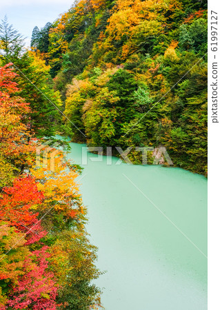 高瀨谷秋葉 61997127