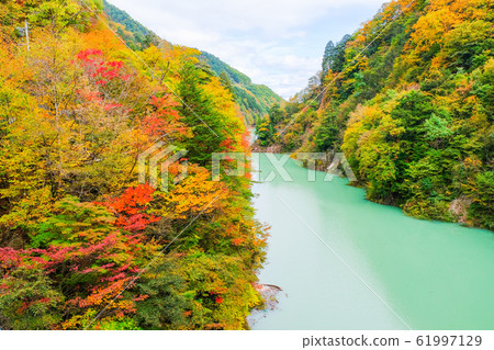 高瀨谷秋葉 61997129