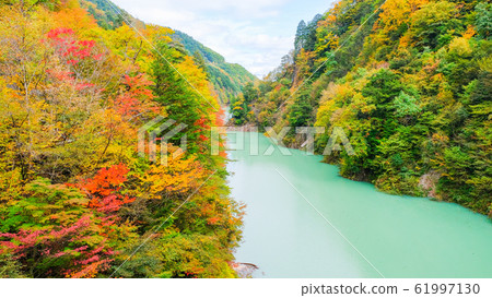 高瀨谷秋葉 61997130