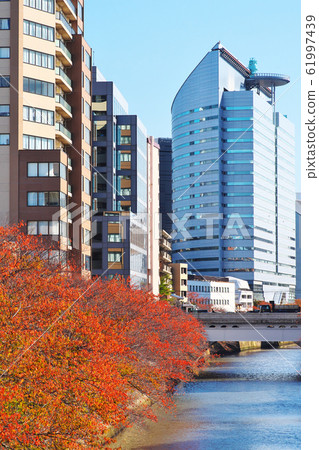 秋天的葉子的目黑河富良井橋的景色 61997439