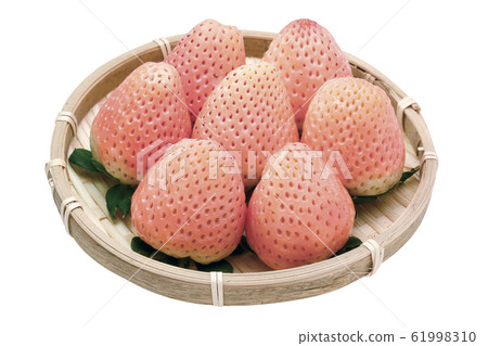 小雪草莓03(及格) 小雪草莓03(及格) 61998310