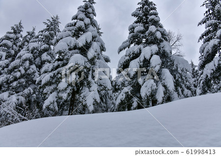 Winter, daegwallyeong, pyeongchang, gangwon-do, korea 61998413