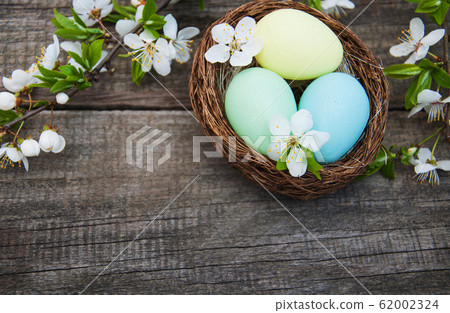 Easter eggs and spring  blossom 62002324