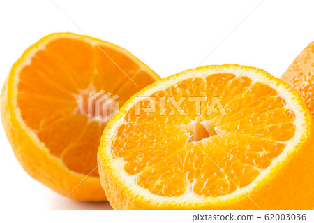 凸頂柑 凸頂柑 62003036