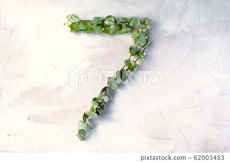The number 7 is laid out from branches with leaves The number 7 is laid out from branches with leaves 62003483
