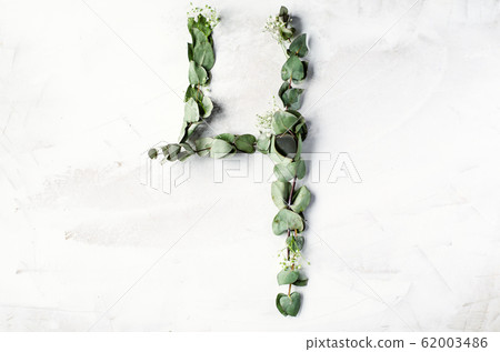 The number 4 is laid out from branches with leaves 62003486
