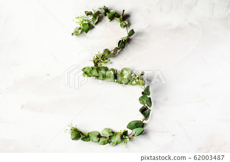 The number 3 is laid out from branches with leaves The number 3 is laid out from branches with leaves 62003487