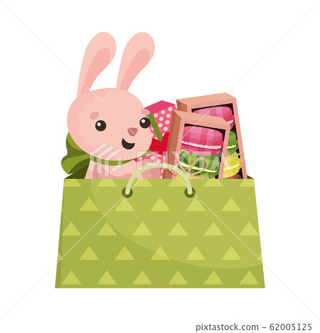 Carton Gift Package with Macaroons and Rabbit Fluffy Toy Vector Illustration Carton Gift Package with Macaroons and Rabbit Fluffy Toy Vector Illustration 62005125