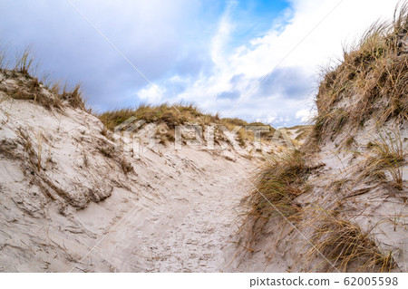 The dunes at Maghera Beach near Ardara, County Donegal - Ireland. 62005598