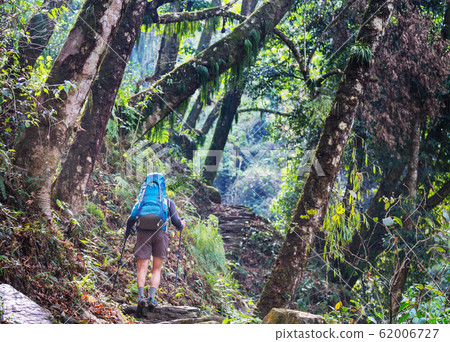 Hike in Nepal jungle Hike in Nepal jungle 62006727