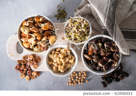 Selection of sprouted legumes - beans, chickpea, mung Selection of sprouted legumes - beans, chickpea, mung 62006881