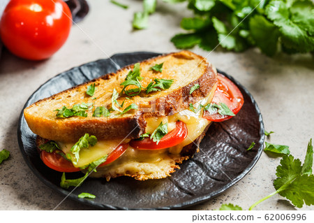 Grilled cheese sandwich with tomato and greens Grilled cheese sandwich with tomato and greens 62006996