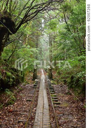 Rain trolley road 62007268