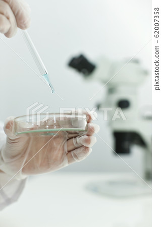 researcher  62007358