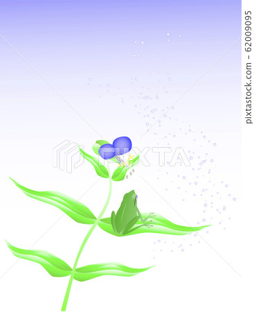 Frog, tsunaku, blue sky 62009095