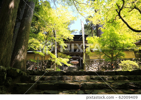 鮮綠色21個Ryokaisan Yokozoji寺（岐阜縣Prefecture美郡-川町橫z） 62009409