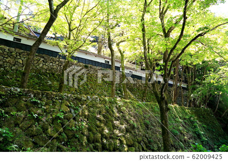 Ryokaisan Yokozoji寺,新鮮的綠色35(岐阜縣I美郡I魚川町橫ura) Ryokaisan Yokozoji寺,新鮮的綠色35(岐阜縣I美郡I魚川町橫ura) 62009425