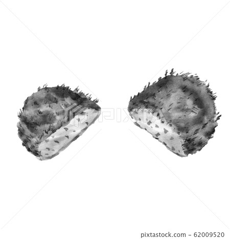 炸丸子（墨水的手繪插圖） 62009520