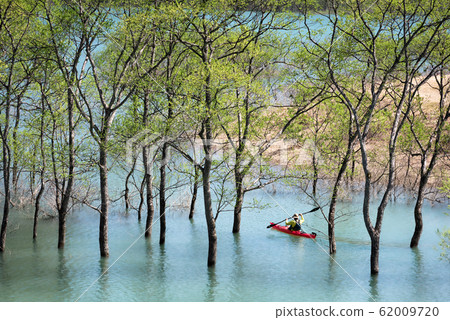 Shirakawa dam lake submerged forest canoe 62009720