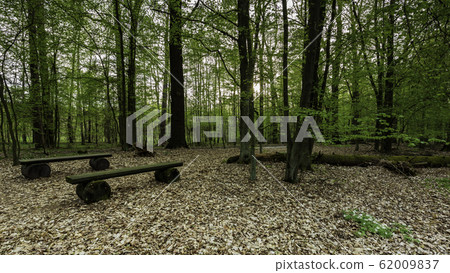 Two empty wooden benches in greenery spring 62009837