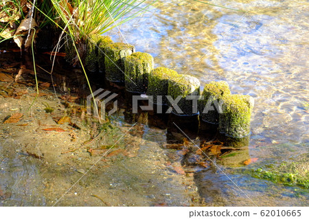 水邊樁 62010665