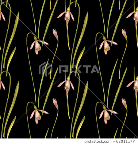 Watercolor snowdrops flowers. Seamless patterns. Wild flower set isolated on white. Botanical watercolor illustration, snowdrops bouquet, rustic flowers. 62011177