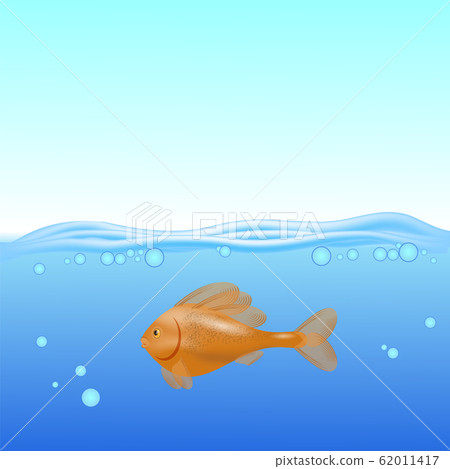 Red Fisn Swims on a Blurred Sea Background Red Fisn Swims on a Blurred Sea Background 62011417
