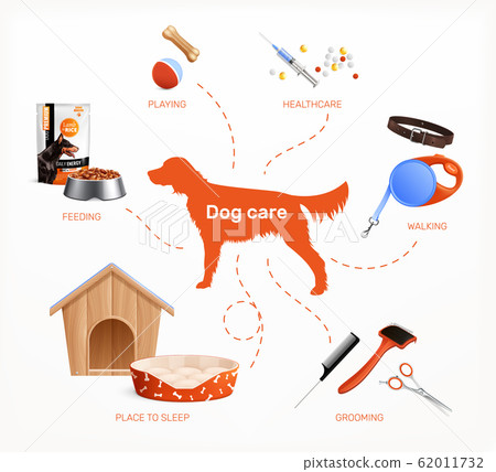dog care items