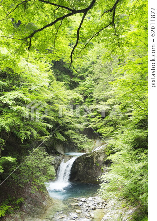 Fresh green of the Nishizawa Valley Fresh green of the Nishizawa Valley 62011872