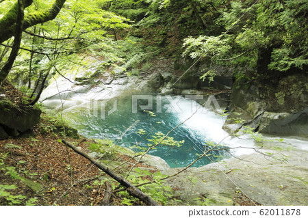 Nishizawa Valley Cobalt Blue Nishizawa Valley Cobalt Blue 62011878