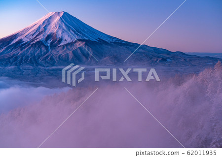 《Yamanashi Prefecture》 Mt.Fuji and snowy landscape in the sea of clouds 62011935