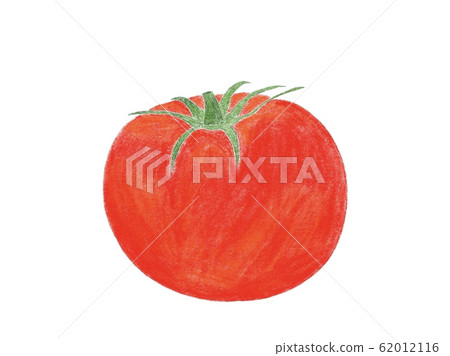 Tomato Tomato 62012116
