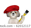 Shitzu dog as a painter with a brush. Isolated on white 62012117