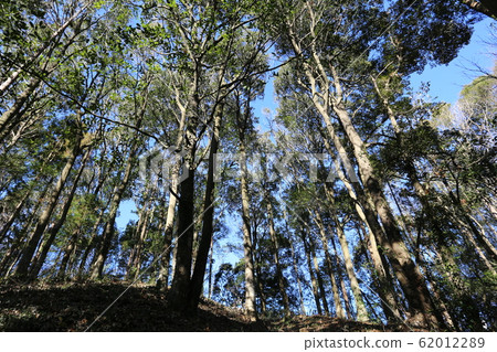 Silk screen 62012289