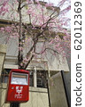 Red post and weeping cherry 62012369