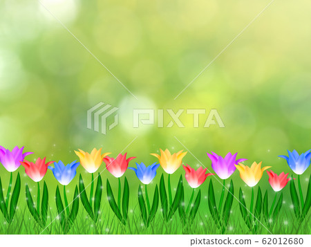 Floral spring background with tulips. Floral spring background with tulips. 62012680