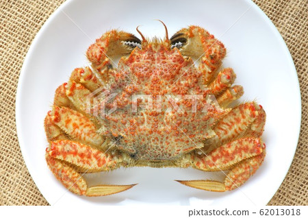 Boiled crab 62013018