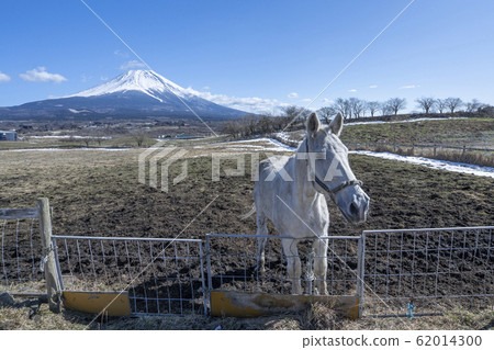 富士山牧場 62014300