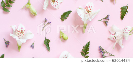 Flowers on a light pink background Flowers on a light pink background 62014484
