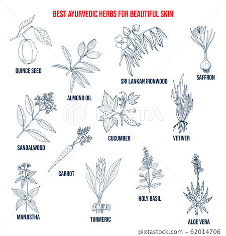 Collection of best ayurvedic herbs for beautiful skin 62014706