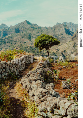 Santo Antao, Cape Verde. Plateau with Mango tree and mountain ridge view near Coculi in Ribeira Grande Santo Antao, Cape Verde. Plateau with Mango tree and mountain ridge view near Coculi in Ribeira Grande 62014841